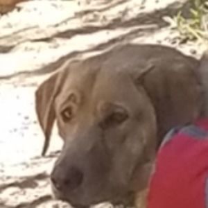 Meet your Posher, Grant